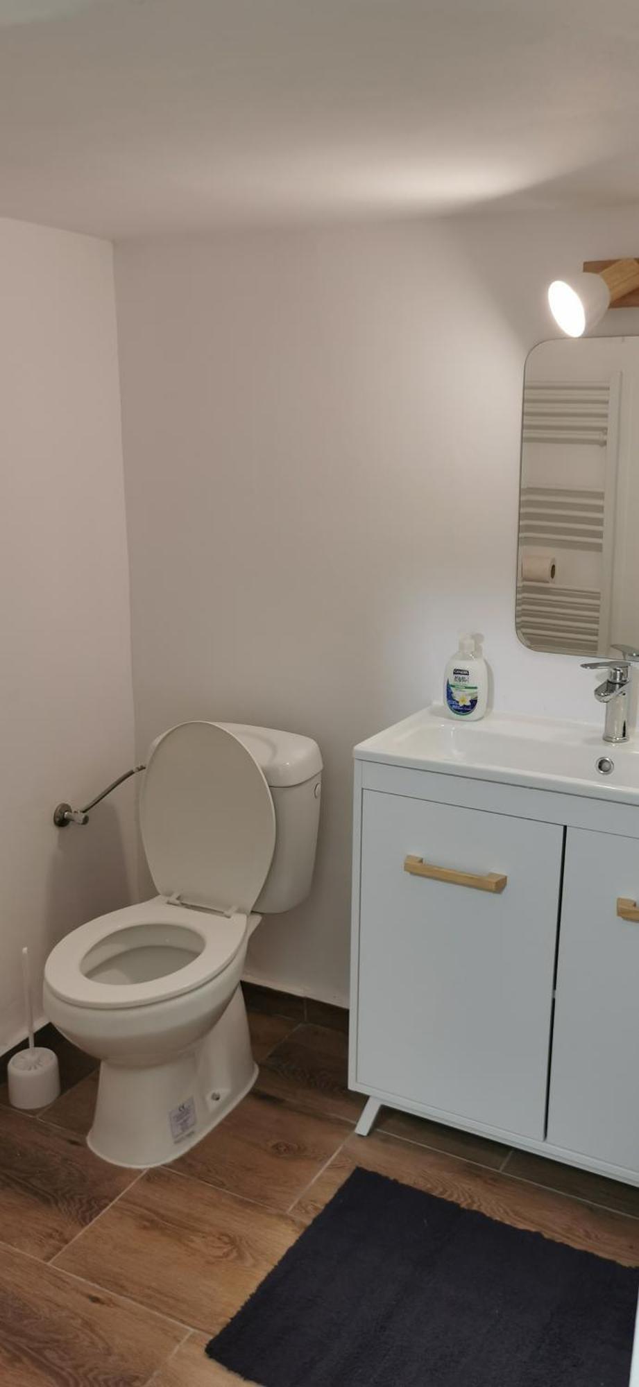 Casa Silvia Apartment Cluj Napoca Bagian luar foto
